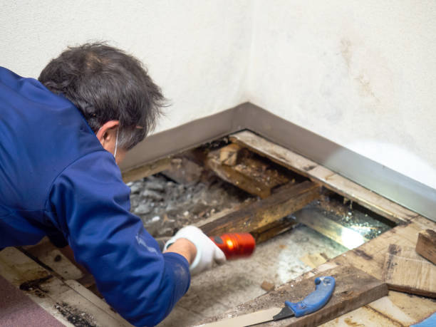 Best HVAC Mold Remediation in Glen Gardner, NJ